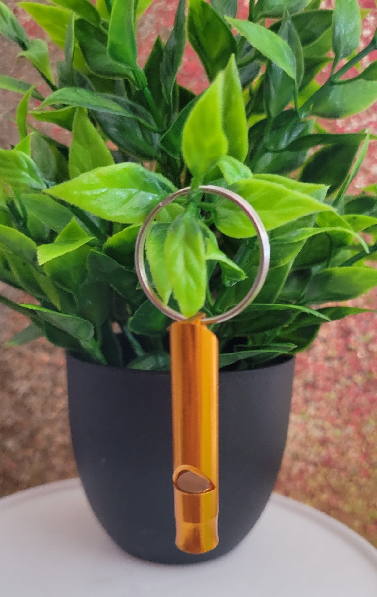 Whistle Key Chain
